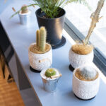 本厚木② 150x150