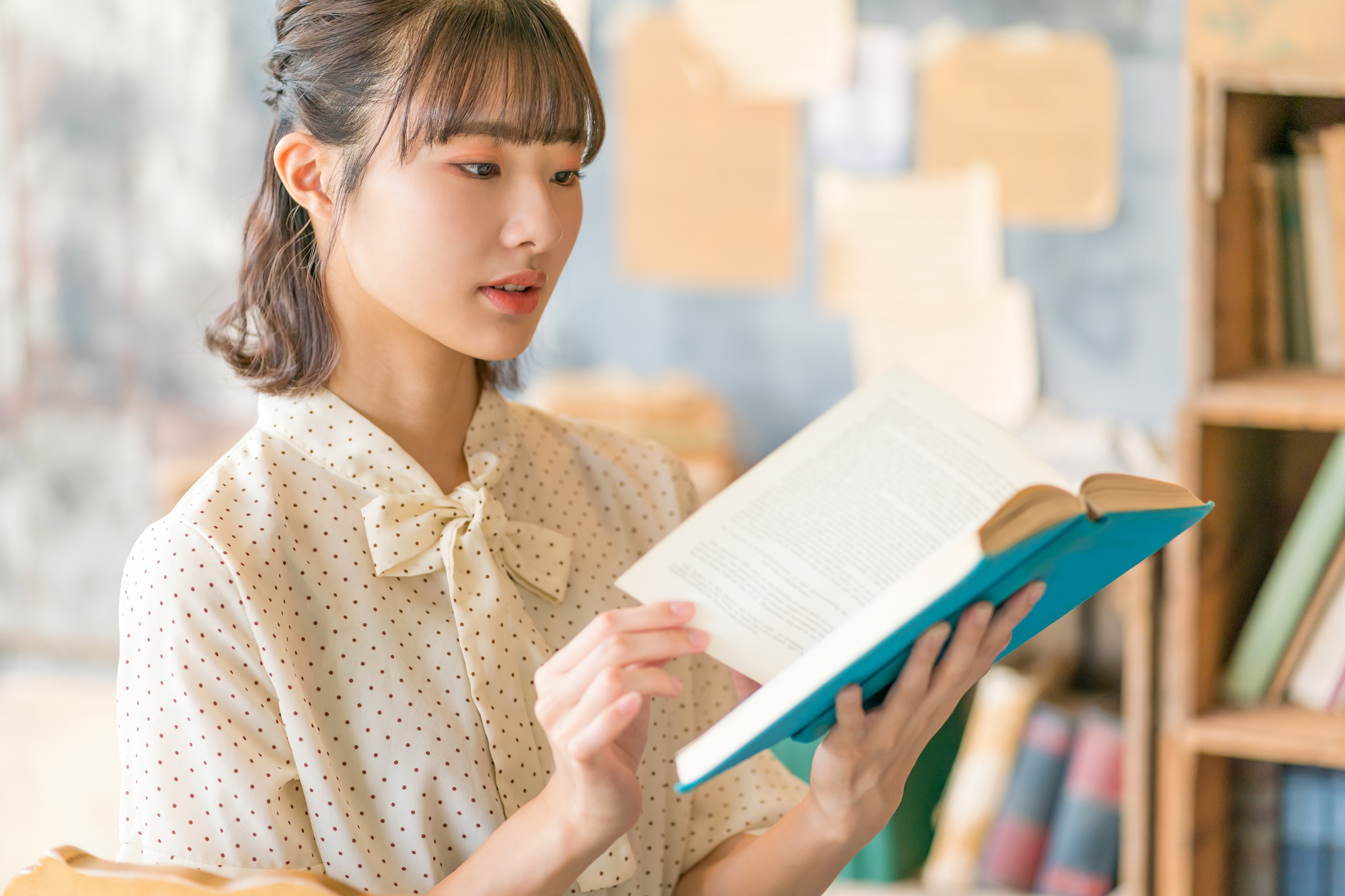 豊橋特徴③