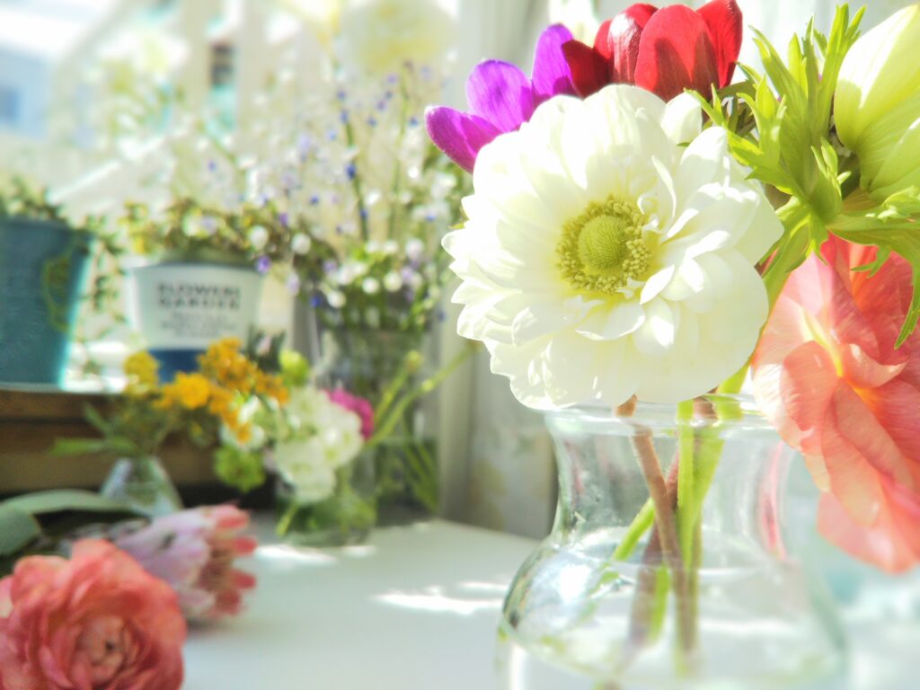 Mito image01 1024x768